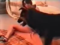 Black dog pounding her beastiality lover owner